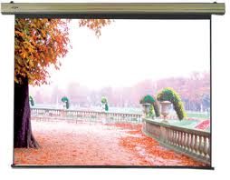 Màn chiếu điên cơ Electric dalie 120x90